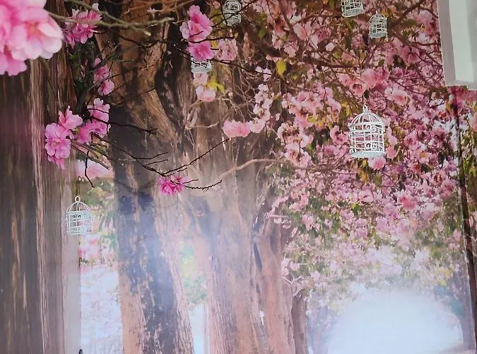 公寓 Suenos De Orive. Con Piscina Y Wifi. Casco Antiguo. *