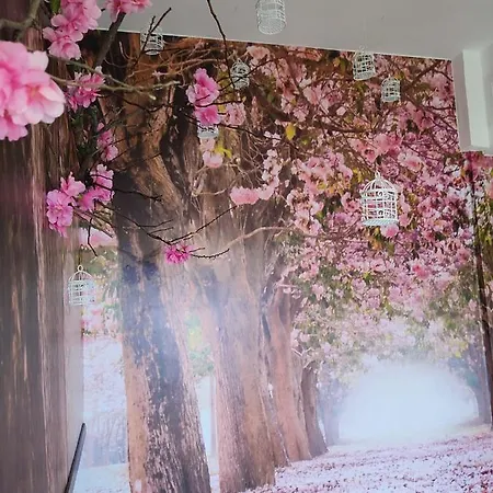 Appartement Suenos De Orive. Con Piscina Y Wifi. Casco Antiguo. *