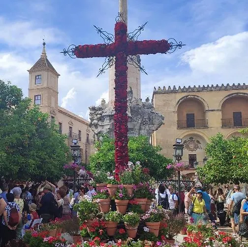 Διαμέρισμα Suenos De Orive. Con Piscina Y Wifi. Casco Antiguo.