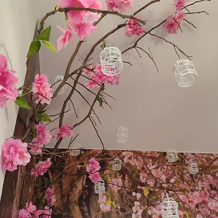 Suenos De Orive. Con Piscina Y Wifi. Casco Antiguo. * 科爾多瓦