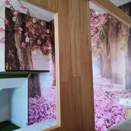 公寓 Suenos De Orive. Con Piscina Y Wifi. Casco Antiguo.